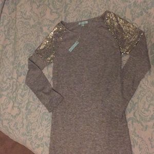 NWT L/S Light sweater dress w/ sequins